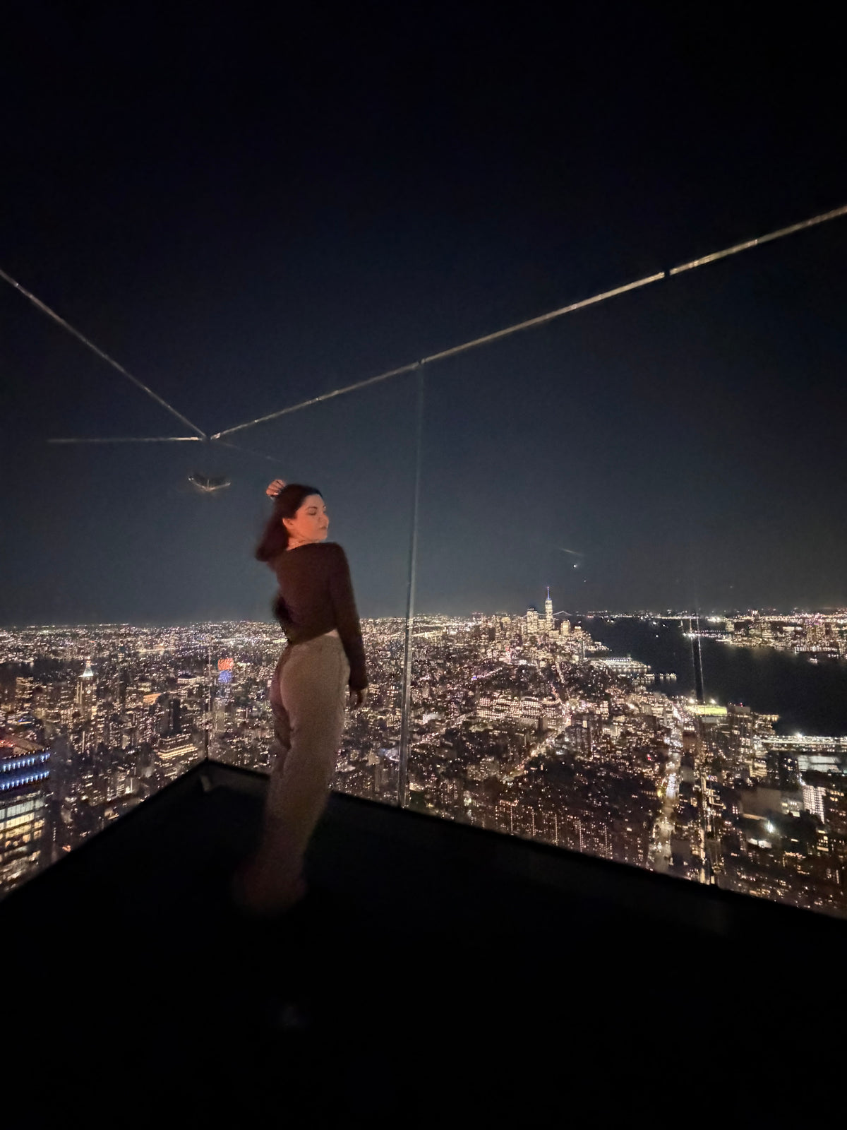Molly above the New York skyline at night